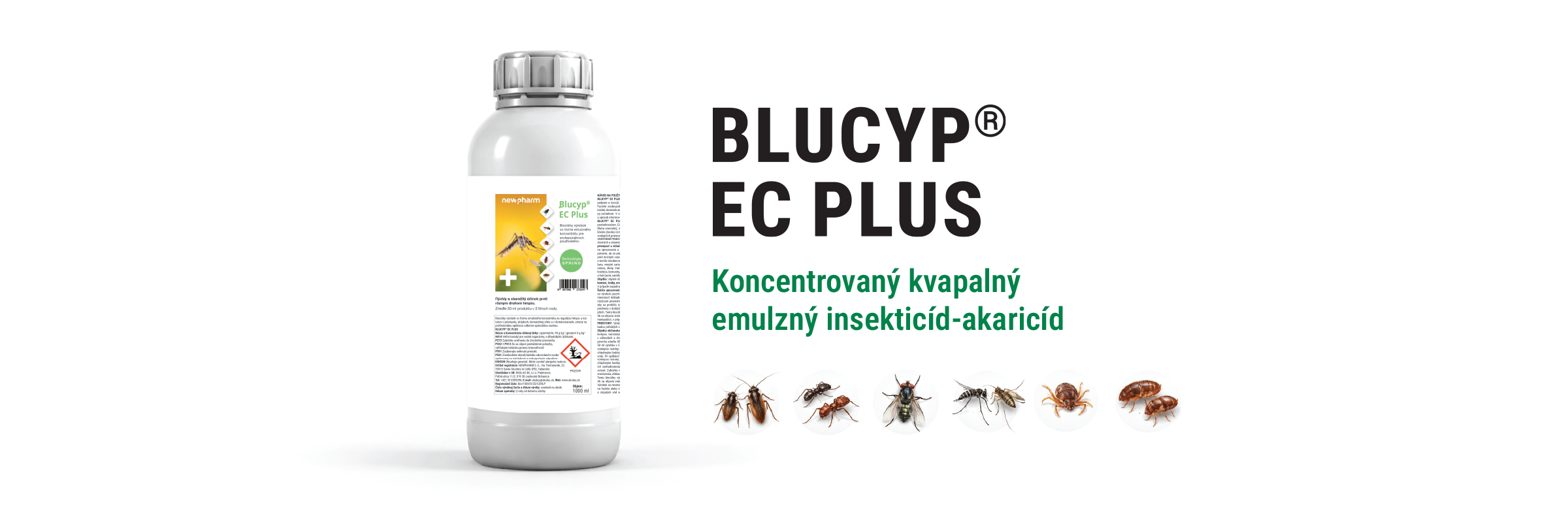 BlucypECplus