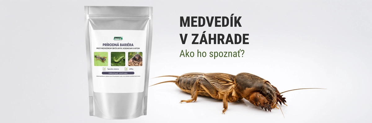 medvedik v zahrade